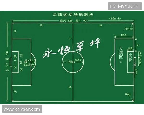 选择适合你的足球位置踢球提升技术与团队合作的最佳指南