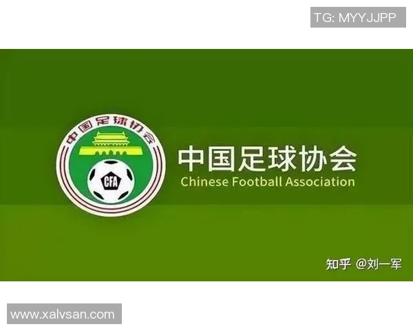 重庆足球俱乐部再曝欠薪事件球员权益何时能得到保障